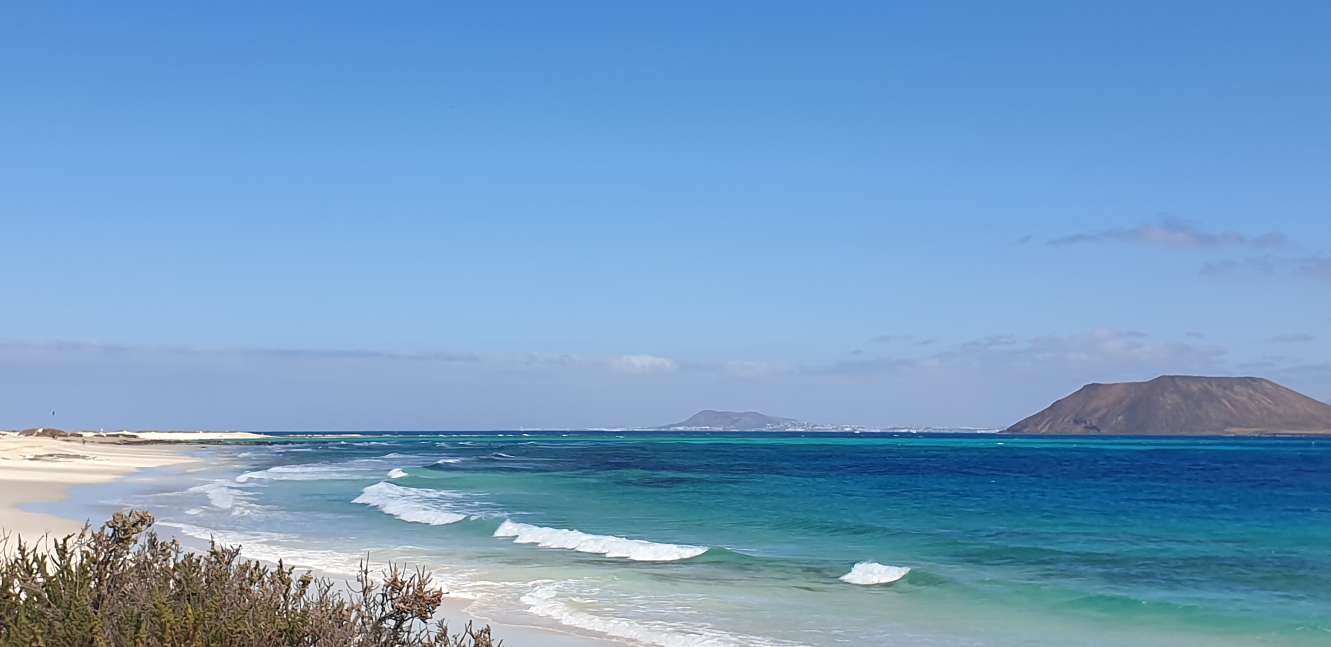 FUE 3 20210317_125326.jpg